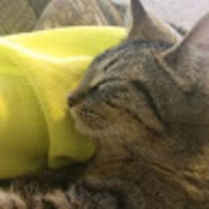 Meet your Posher, Marie